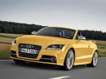 Audi TTS Roadster Competition 2013 года
